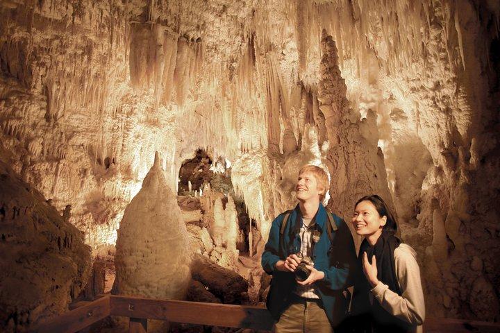 Expérience de 2 jours à Rotorua: grottes de Waitomo, culture maorie et tyrolienne au départ d'Auckland