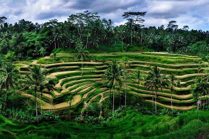 Private Ubud e Volcano Day Trip