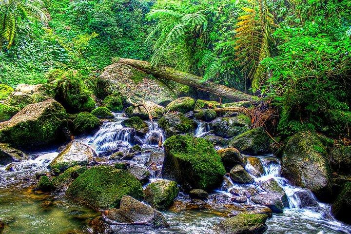 Tour dei laghi gemelli di Dumaguete Casaroro Falls e Balinsasayaw