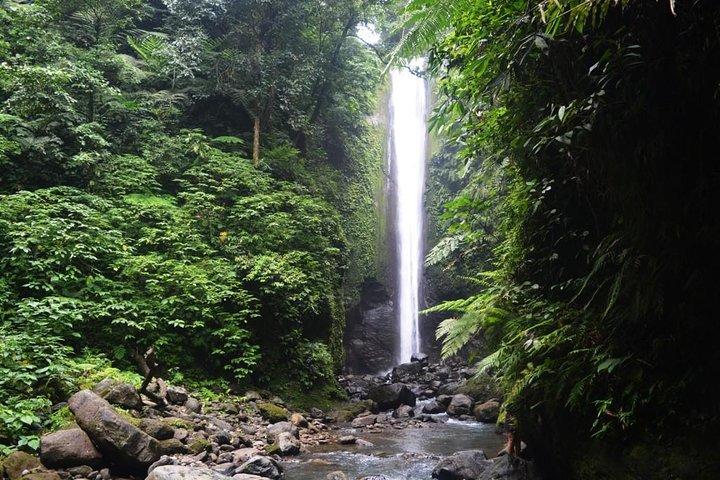 Tour dei laghi gemelli di Dumaguete Casaroro Falls e Balinsasayaw