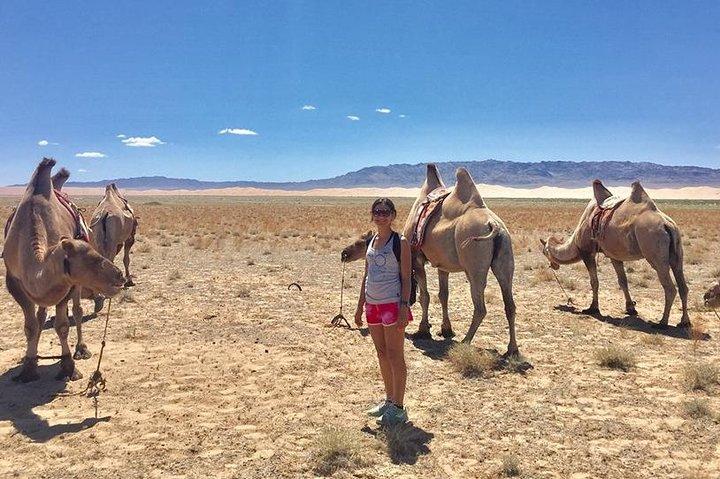 2D, el desierto de Gobi 1N y la ciudad vieja de Kharkhorum se quedan con la familia nómada