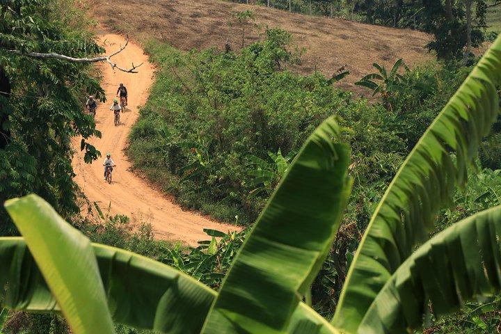Tur på mountainbike i Chiang Mai med udforskning af de landlige områder