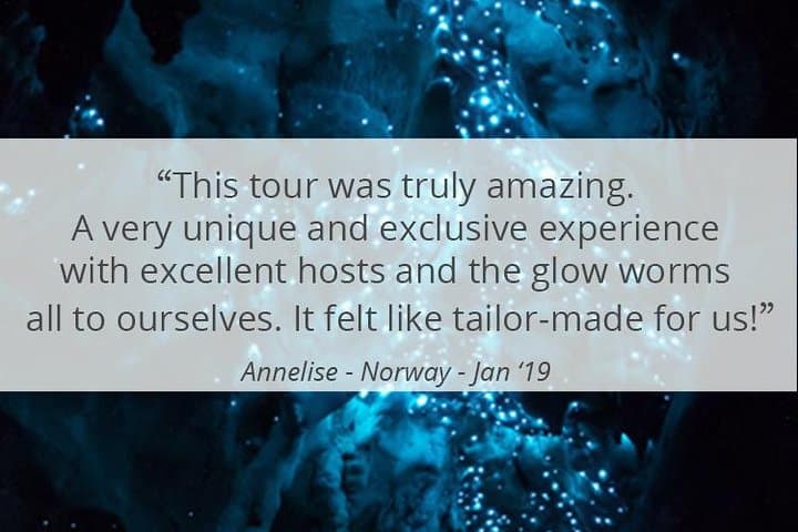 See Auckland's Secret Glow Worms