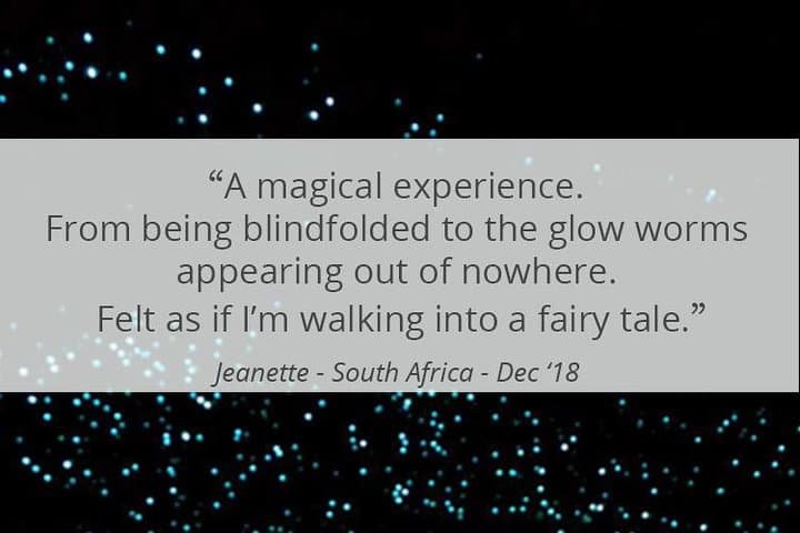 See Auckland's Secret Glow Worms
