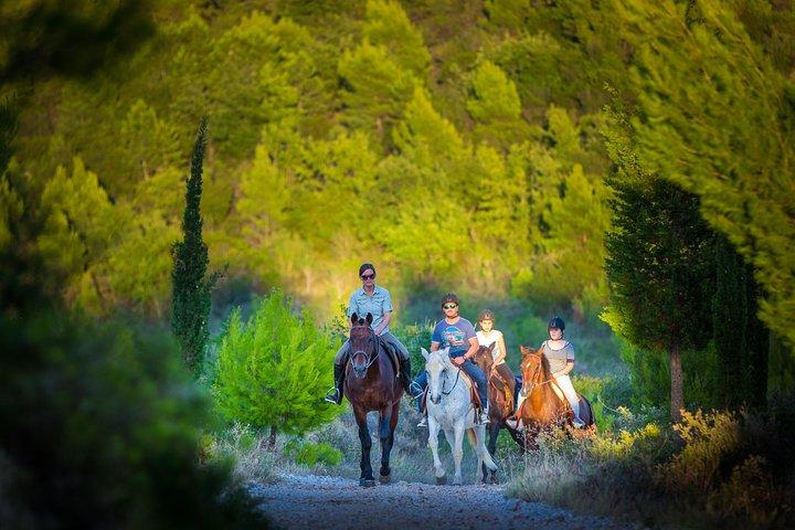 Ridning i Konavle-regionen med transport från Dubrovnik