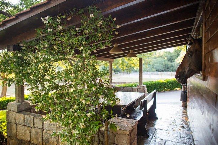 ドゥブロヴニクからの交通機関を利用したコナヴレ地方での乗馬