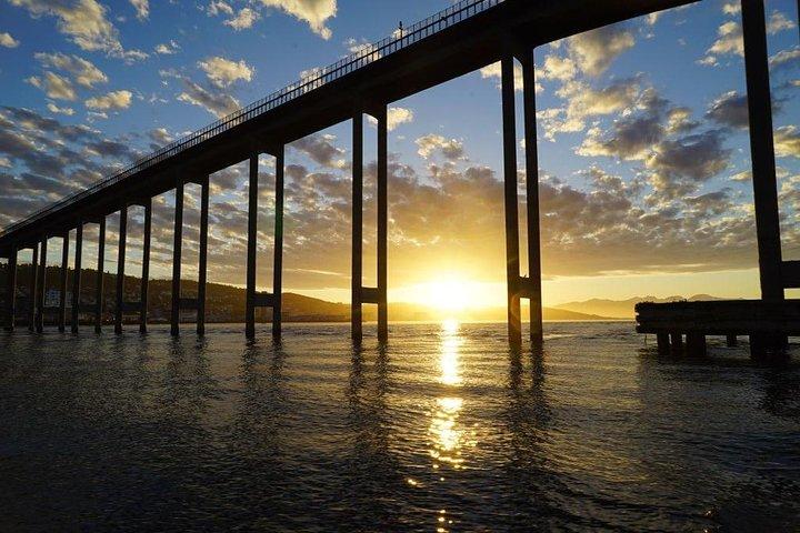 Midnightsun trip - 高級カタマラン北極姫