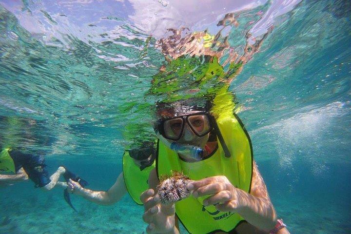 Excursion aventure de plongée en apnée à Fajardo l'après-midi