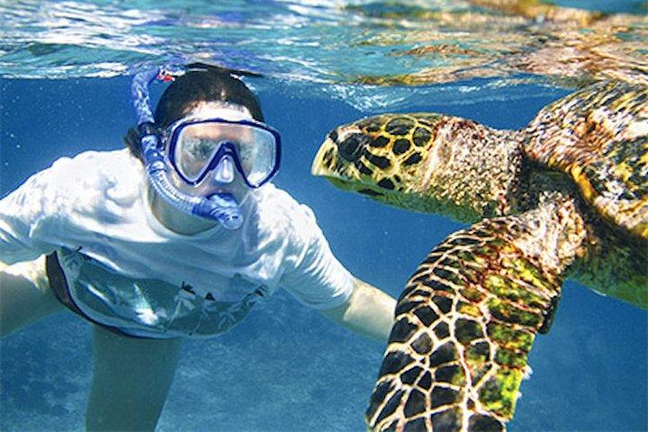 カウアイ島の究極の南島ゾディアックボートシュノーケルアドベンチャー