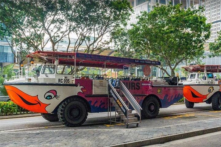 Private Tour: Singapore National Museum und Singapore Flyer und Ducktour