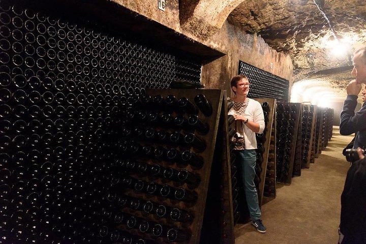 Vouvray、ロワール渓谷でのワインテイスティングを楽しめるブドウ畑、ワイナリー、ワインセラーのツアー
