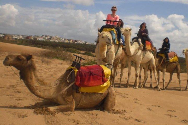 Camel Ride on the Beach of Essaouira