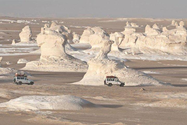2 dagar White Desert och Bahariya Oasis Tour
