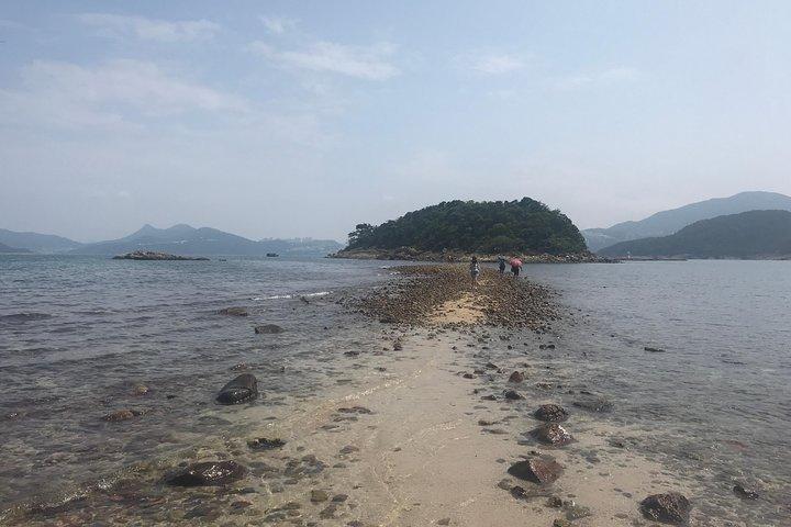 Eftermiddagsvandring Tour Sharp Island Geopark