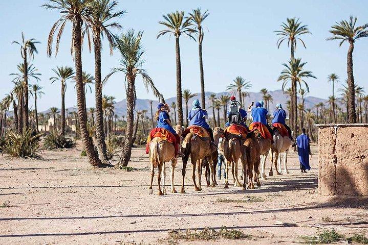 Quad Bike e Camel Ride a Marrakech Palmeraie