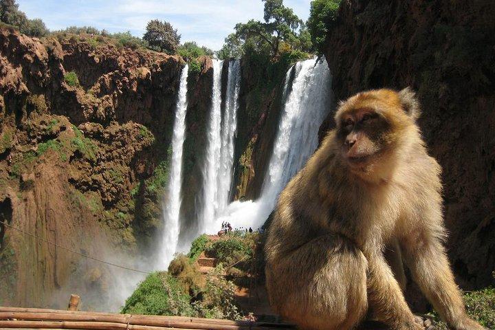 Privat dagstur till Ouzoud vattenfall från Marrakech