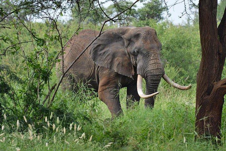 Increadible Meru Special Safari (MINIMUM 2 PAX)