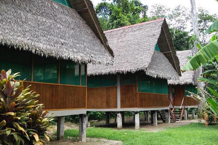 3 Tage 2 Nächte - Tambopata Dschungel
