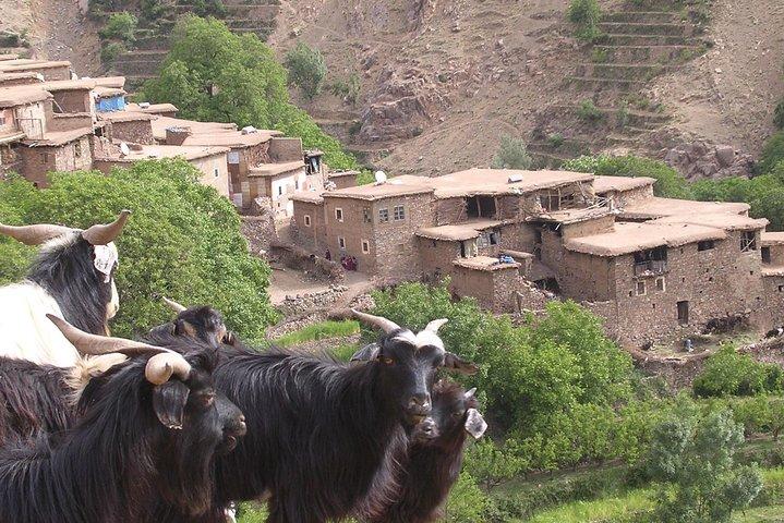 Excursion guidée privée d'une journée à l'Atlas au départ de Marrakech avec déjeuner dans une maison familiale berbère