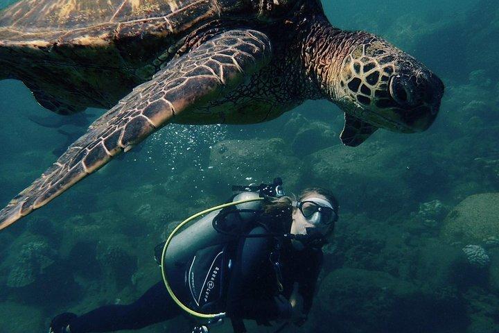 Kauai's Ultimate South Shore 2 Tank Dive (Kun certificerede dykkere)