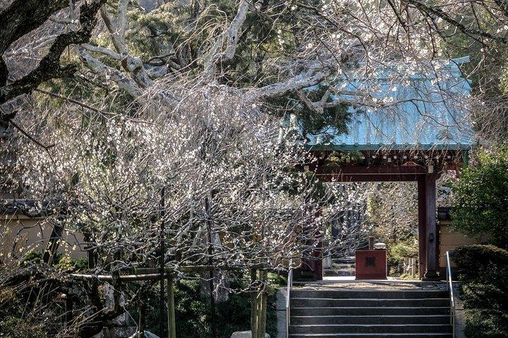 天皇が治め、将軍が治める時代
