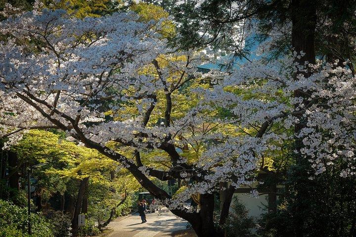 天皇が治め、将軍が治める時代