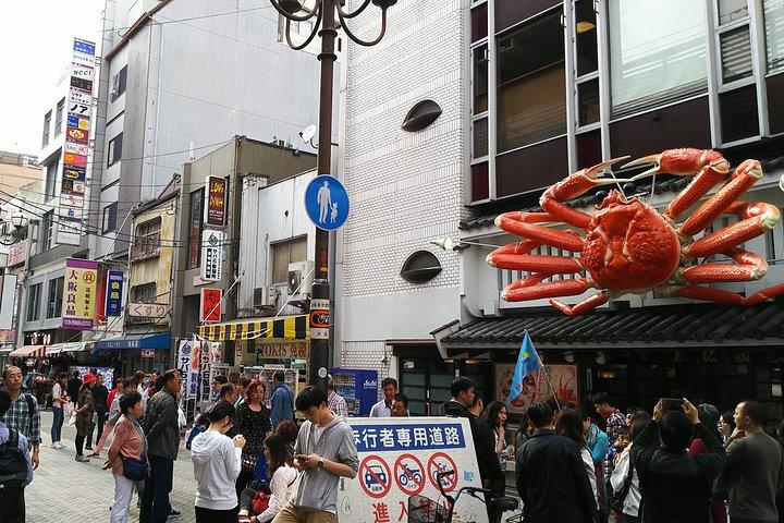 Visite à pied animée d'une journée du château d'Osaka et de Dotonbori