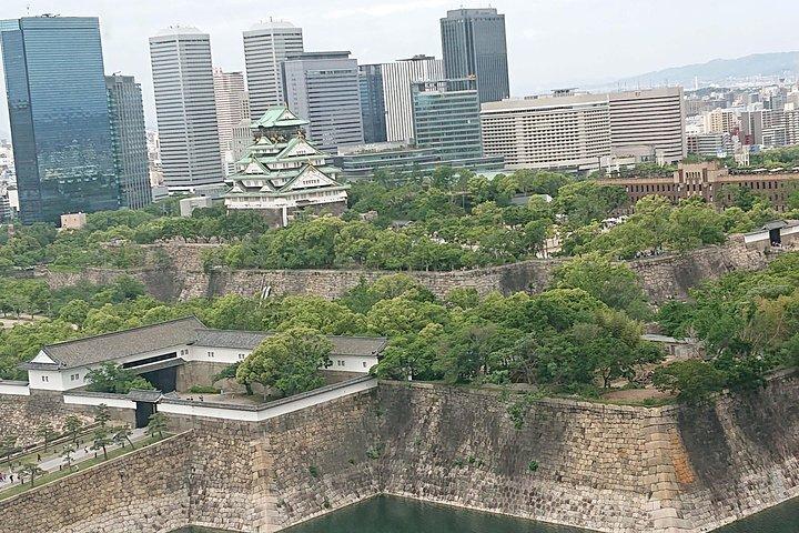 Kasteel Osaka en Dotonbori Levendige eendaagse wandeltocht
