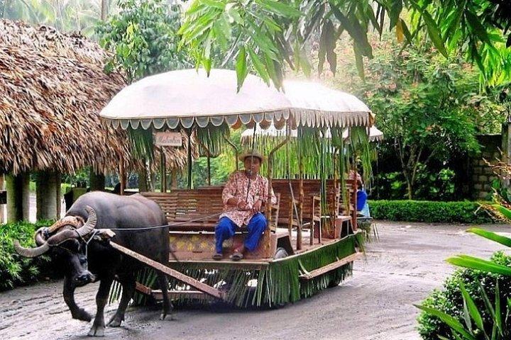 Villa Escudero Coconut Plantage Dagstur fra Manila