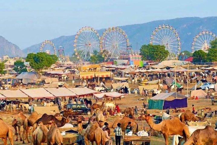 Van Jaipur: Pushkar Self Guided Day Trip