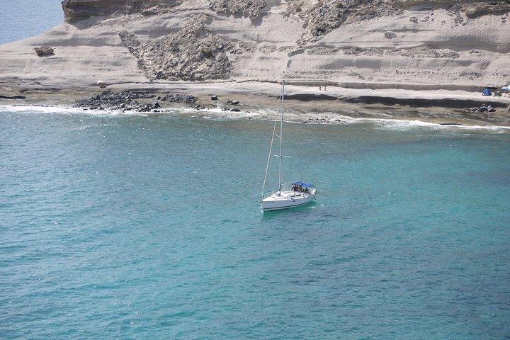 Teneriffa 3 - Stunde Wale und Delfine entdecken