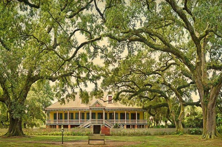Laura Plantation Tour med transport