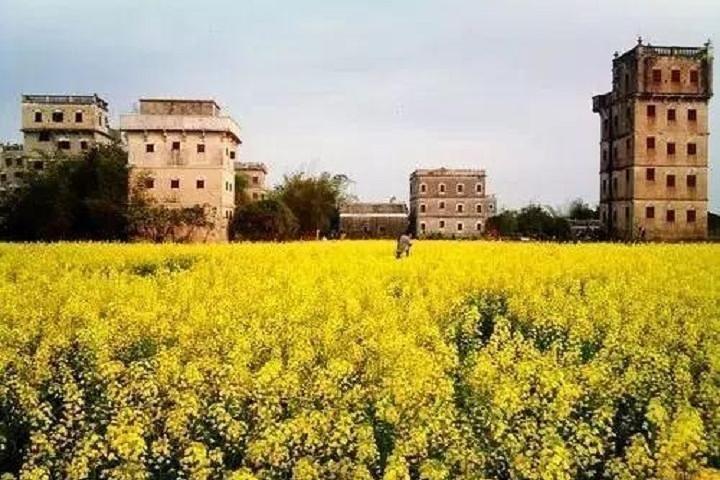 ユネスコ世界遺産の監視塔と古代村のプライベートツアー