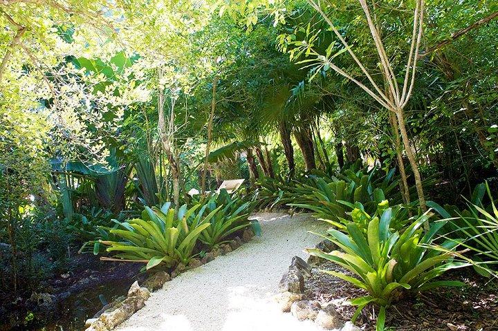 Giardini botanici e Pedro St James a Grand Cayman