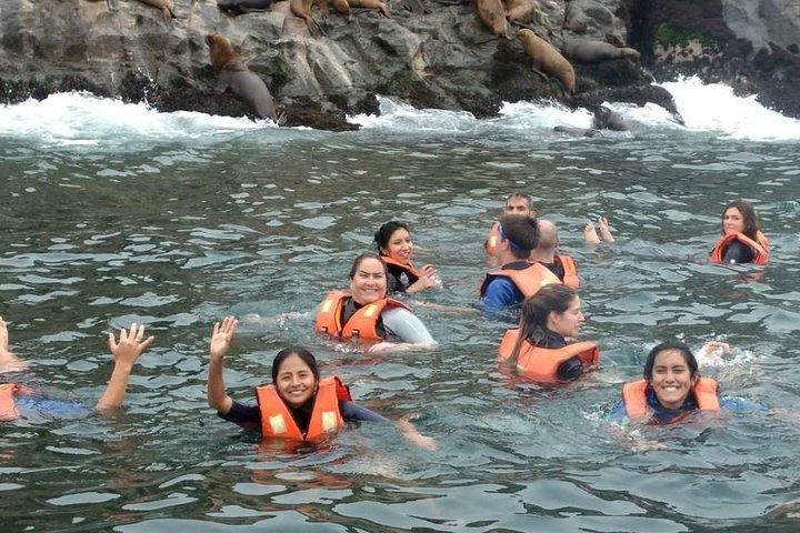 Adventure and adrenaline, swimming with SEA LIONS! & visit the Peruvian islands!