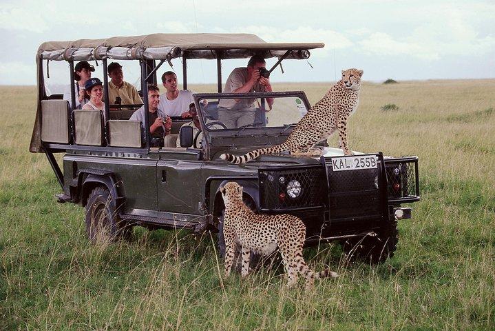 3 giorni Masai Mara Flying Safari - Nairobi