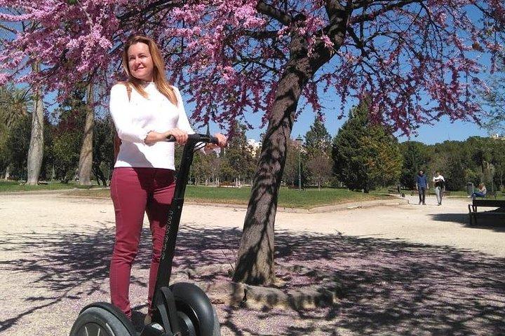 Valencia Segway Tour genom trädgårdar och natur