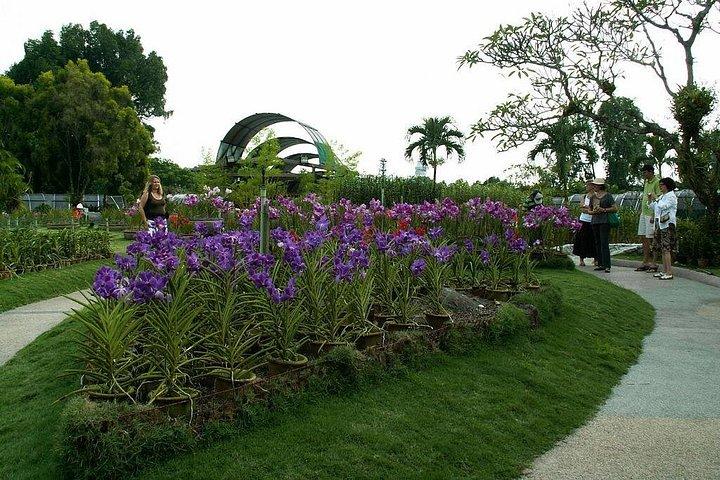 自然を満喫 - 蘭園、バードパーク、バタフライパークツアー