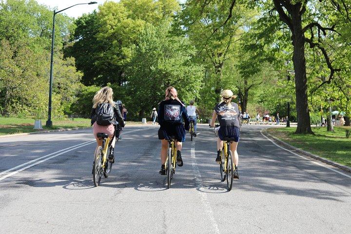 Points forts de la visite guidée à vélo de la ville de New York (anglais ou néerlandais)