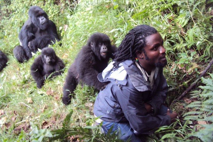 Gorilla di 7 giorni, escursionismo Bisoke e Columbus Monkey Safari (min 2)