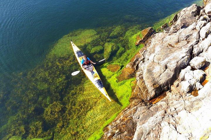Tour de un día en kayak por el archipiélago de Estocolmo