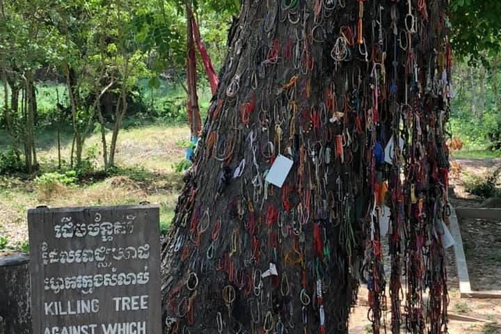 Halve dag Killing Field & Tuol Sleng Genocidal Museum met een lokale Tuk Tuk Tours