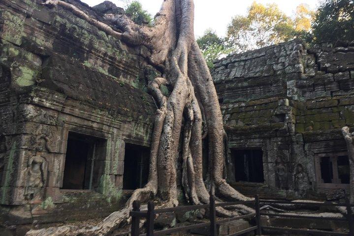 Visite privée du meilleur temple rose d'Angkor Wat