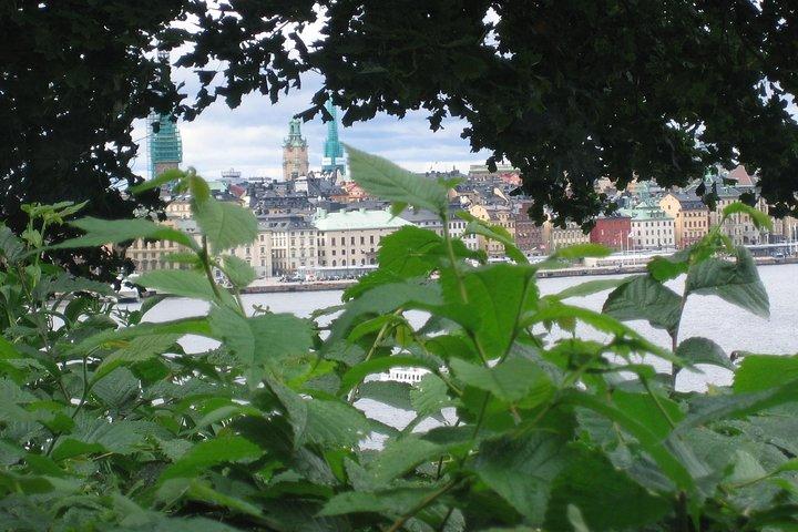Stockholm Top attractions tout compris Grand Tour
