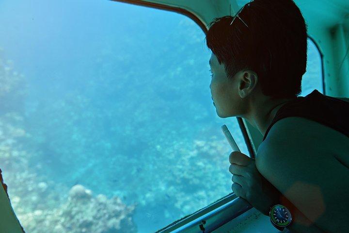 Odyssee 3: The Glass Bottom Boat Tour i Fuerteventura
