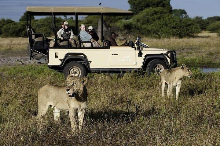 Cape Town Private, The Best Of Big Five Safari Tour