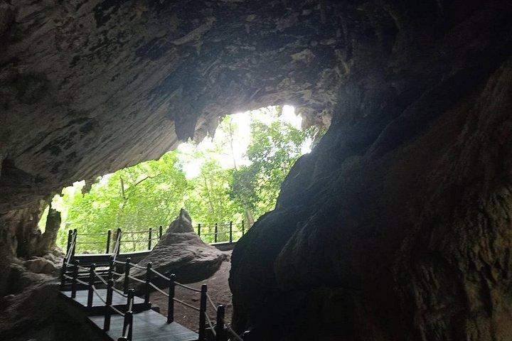 クラビ：バン ボール トールの古代洞窟とマングローブでのカヤック ツアー