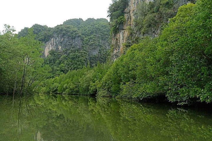 クラビ：バン ボール トールの古代洞窟とマングローブでのカヤック ツアー