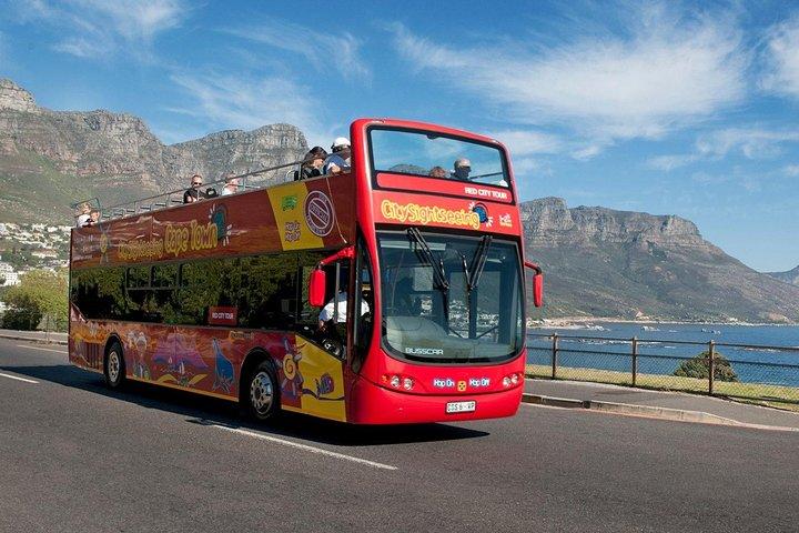 Cape Town City Pass: Save Over 50% on 80+ Top Attractions