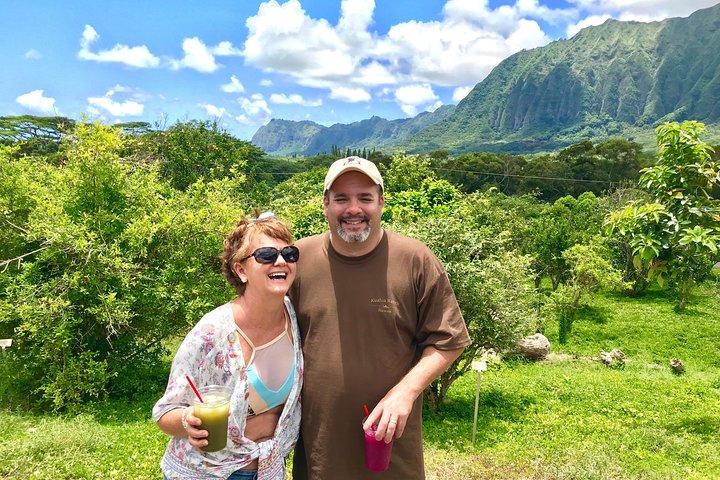 Oahu Custom Private Circle Island og Mini Circle Island Tours